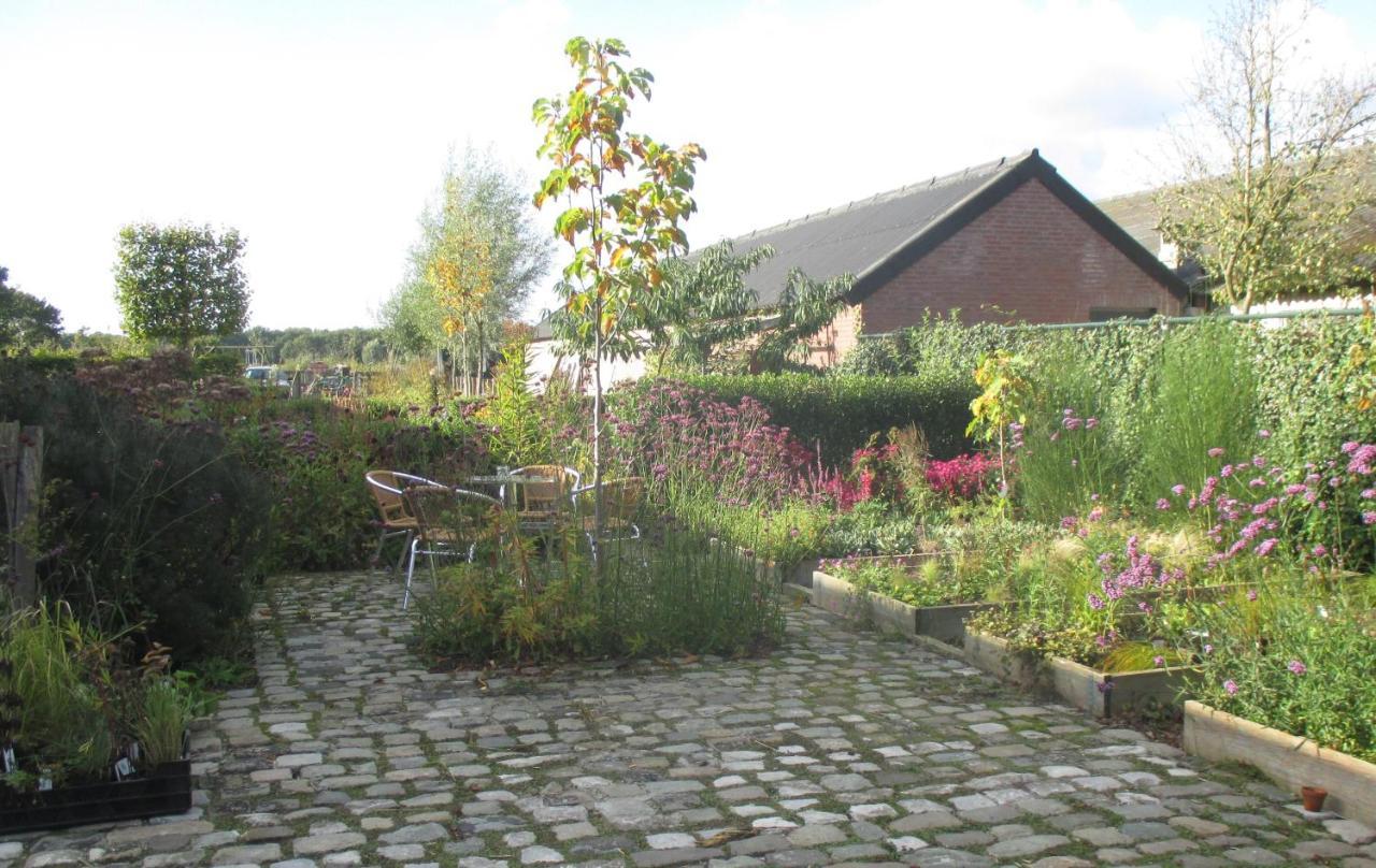 Ferienwohnung Zintuinen Esbeek Exterior foto
